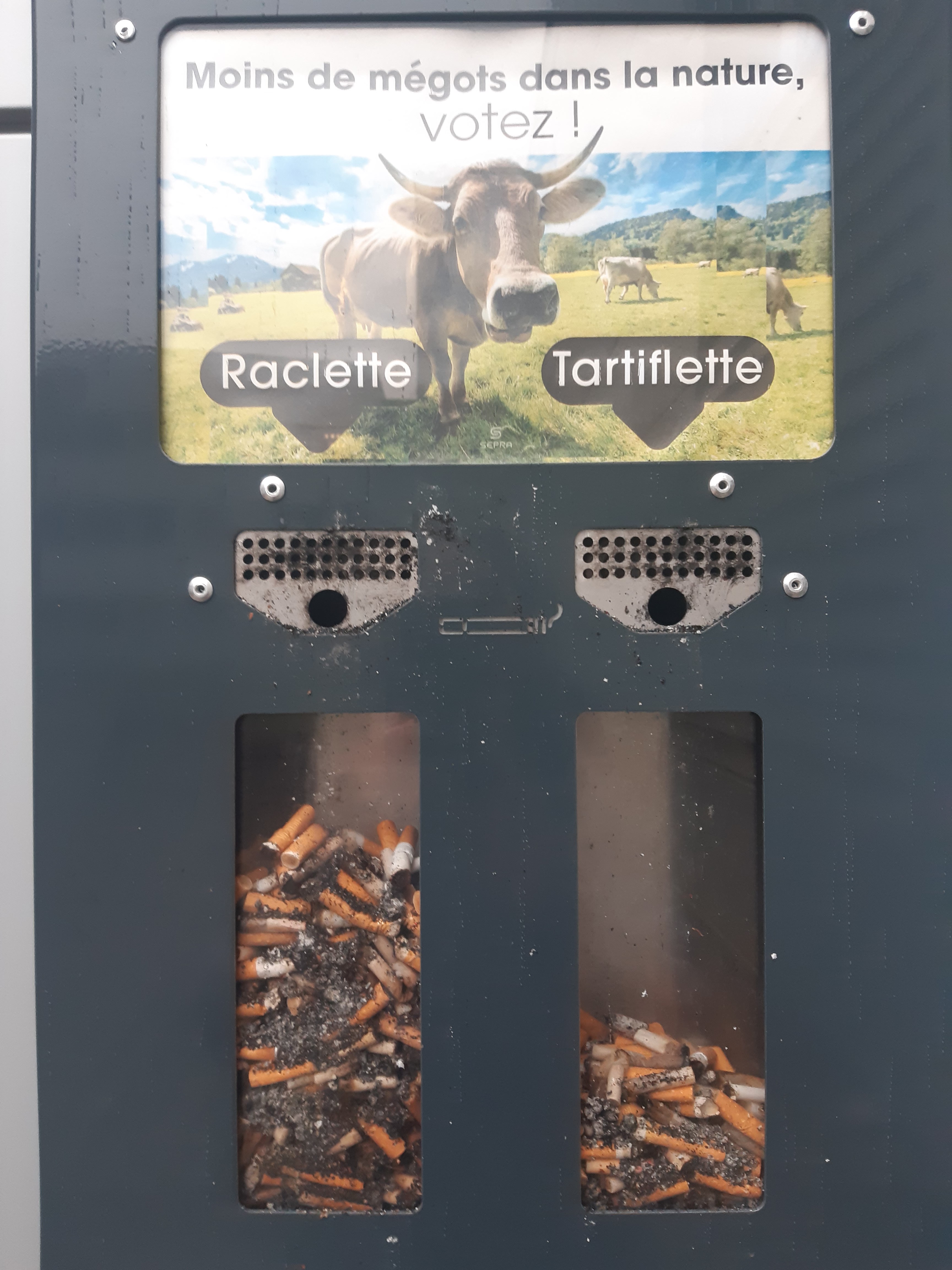 Résultats patio BMD